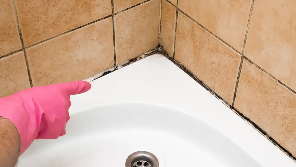 Por qué deberías limpiar a menudo tu cuarto de baño?