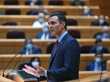 Pedro Sánchez, en una imagen de archivo en el Senado. Pedro Sánchez, en una imagen de archivo en el Senado.