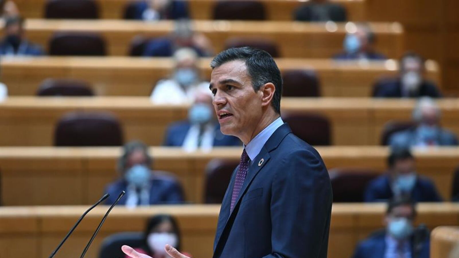 Sánchez se somete hoy al control del Senado con preguntas sobre Cataluña y el plan de vacunación, streaming en directo