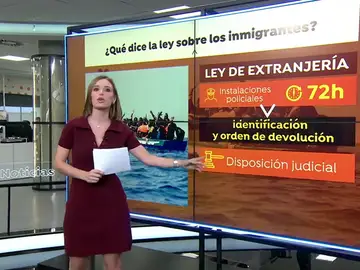 ¿Qué dice la Ley de Extranjería sobre los inmigrantes irregulares? ¿Qué dice la Ley de Extranjería sobre los inmigrantes irregulares?