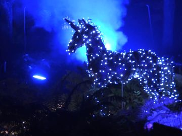 Naturaleza Encendida, las luces de Navidad en el Real Jardín Botánico de Madrid