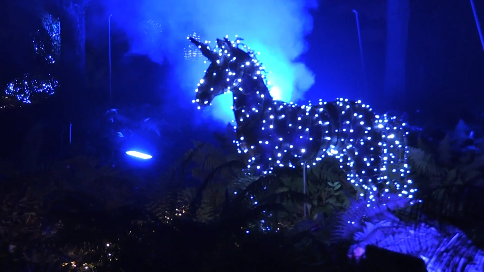 Naturaleza Encendida, las luces de Navidad en el Real Jardín Botánico de Madrid luces