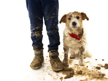 Niño y perro sucios Niño y perro sucios