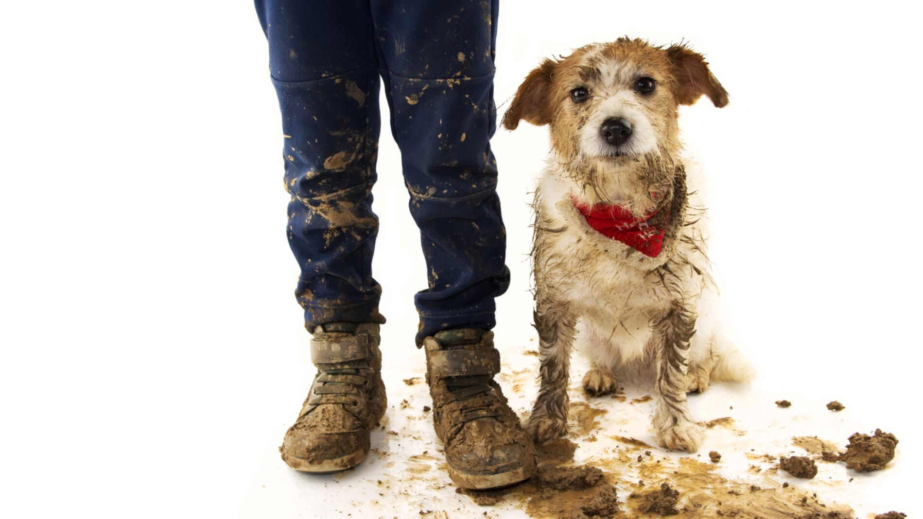 Niño y perro sucios