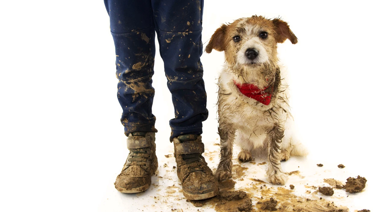Niño y perro sucios Niño y perro sucios
