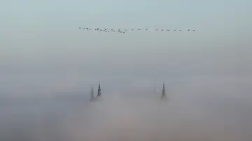 Niebla Toledo Niebla Toledo