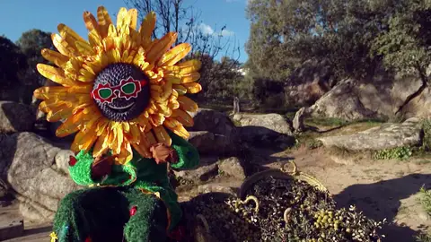 Las nuevas pistas del Girasol: “Aunque soy de campo me vuelven loco los pequeños lujos” Las nuevas pistas del Girasol: “Aunque soy de campo me vuelven loco los pequeños lujos”