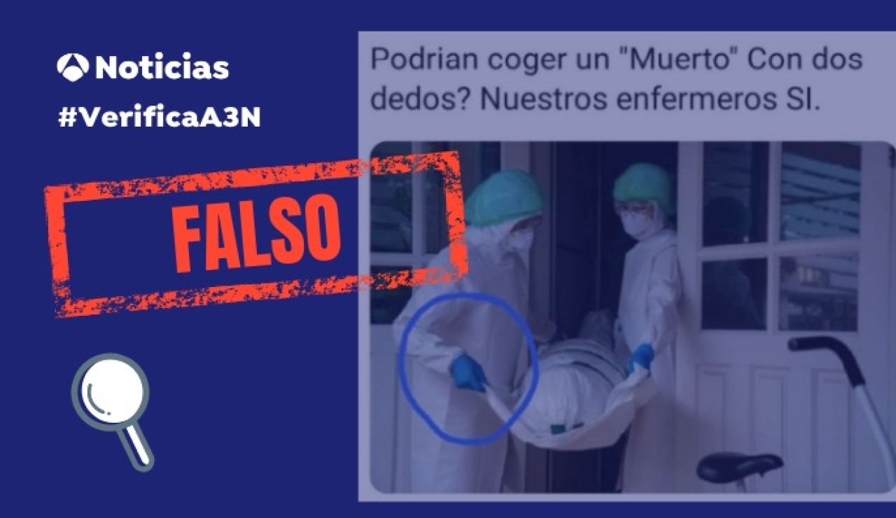 Falso Falso