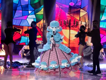 Caniche saca su lado más religioso con ‘Like a prayer’ de Madonna Caniche saca su lado más religioso con ‘Like a prayer’ de Madonna