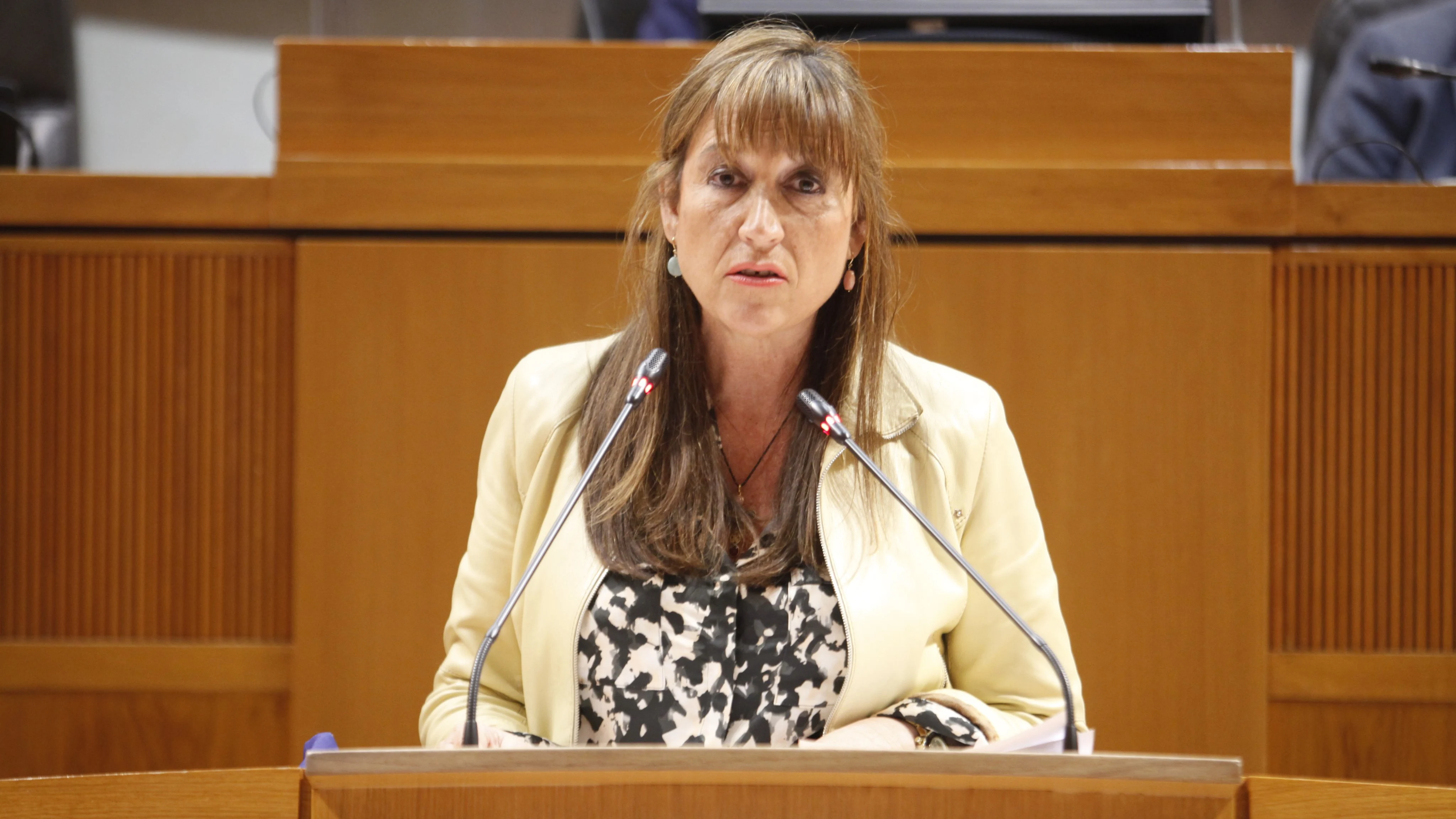 Imagen de archivo de Sira Repollés, consejera de Sanidad Sira Repollés, consejera de Sanidad del Gobierno de Aragón