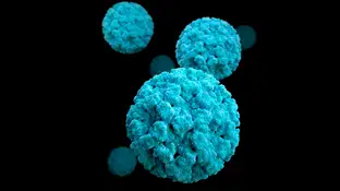 No, el norovirus no es el ‘nuevo coronavirus’: esto es todo lo que necesitas saber sobre el último virus que ha hecho saltar alarmas Norovirus, coronavirus