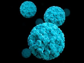 No, el norovirus no es el ‘nuevo coronavirus’: esto es todo lo que necesitas saber sobre el último virus que ha hecho saltar alarmas