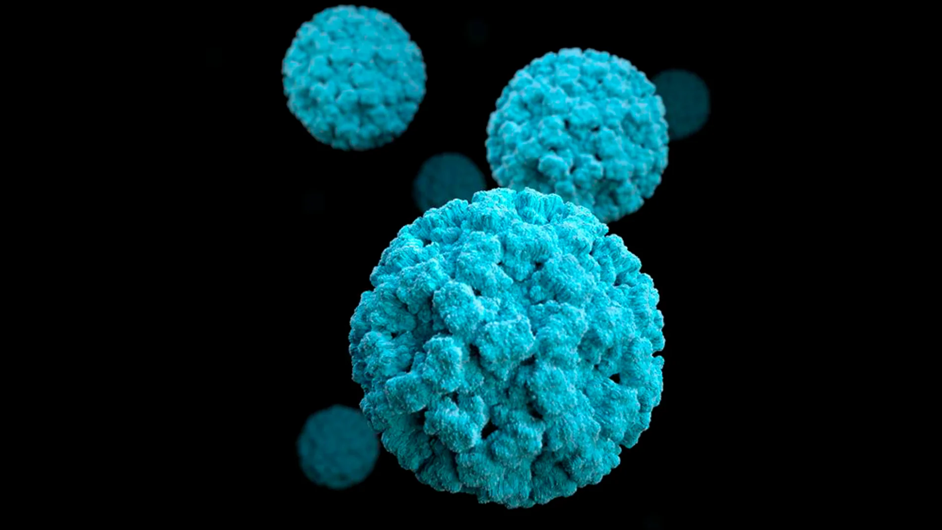 No, el norovirus no es el ‘nuevo coronavirus’: esto es todo lo que necesitas saber sobre el último virus que ha hecho saltar alarmas No, el norovirus no es el ‘nuevo coronavirus’: esto es todo lo que necesitas saber sobre el último virus que ha hecho saltar alarmas