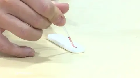 NUEVA TEST NUEVA TEST