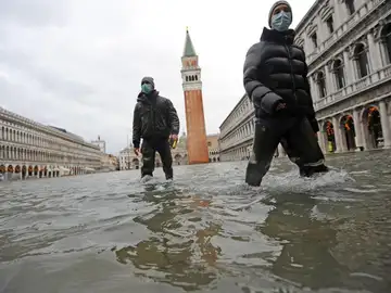 Venecia Venecia