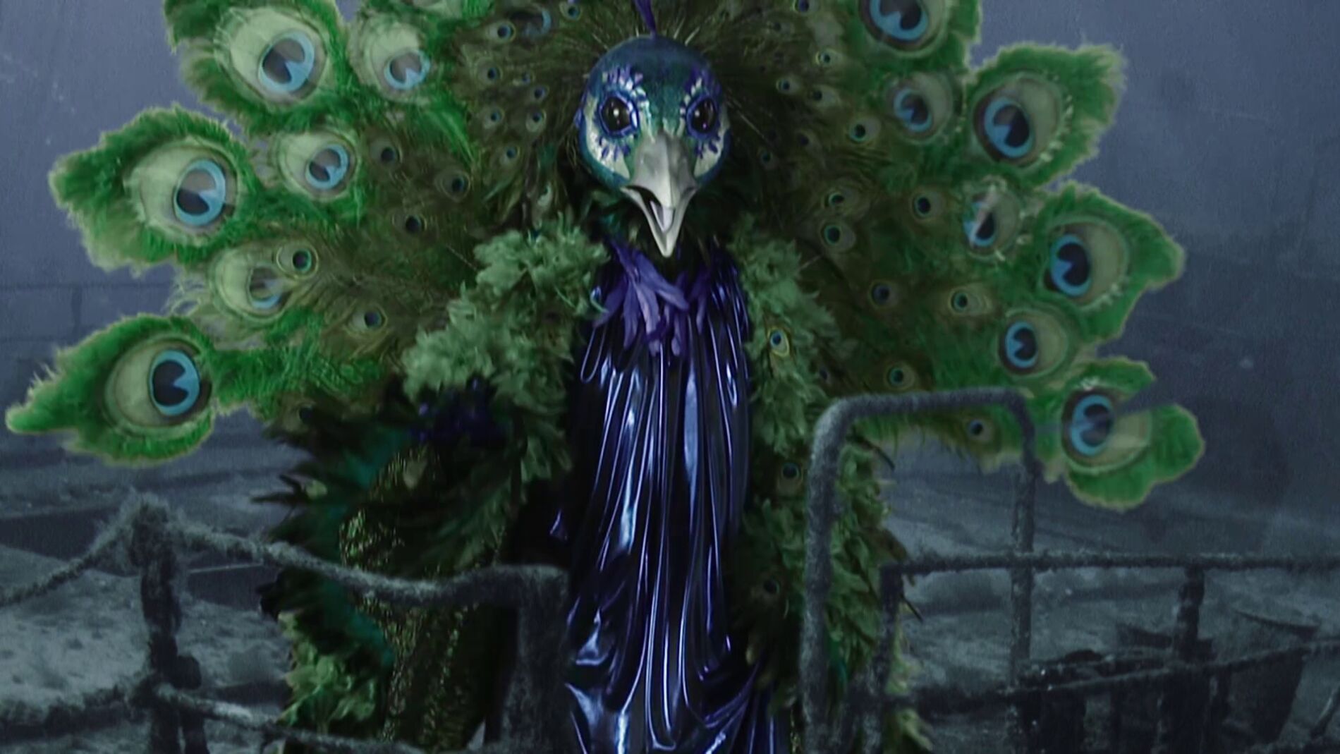 El Pavo Real muestra su lado más tierno en las pistas: “Soy un pavo de lo más romanticón, con razón me gusta Celine Dion”