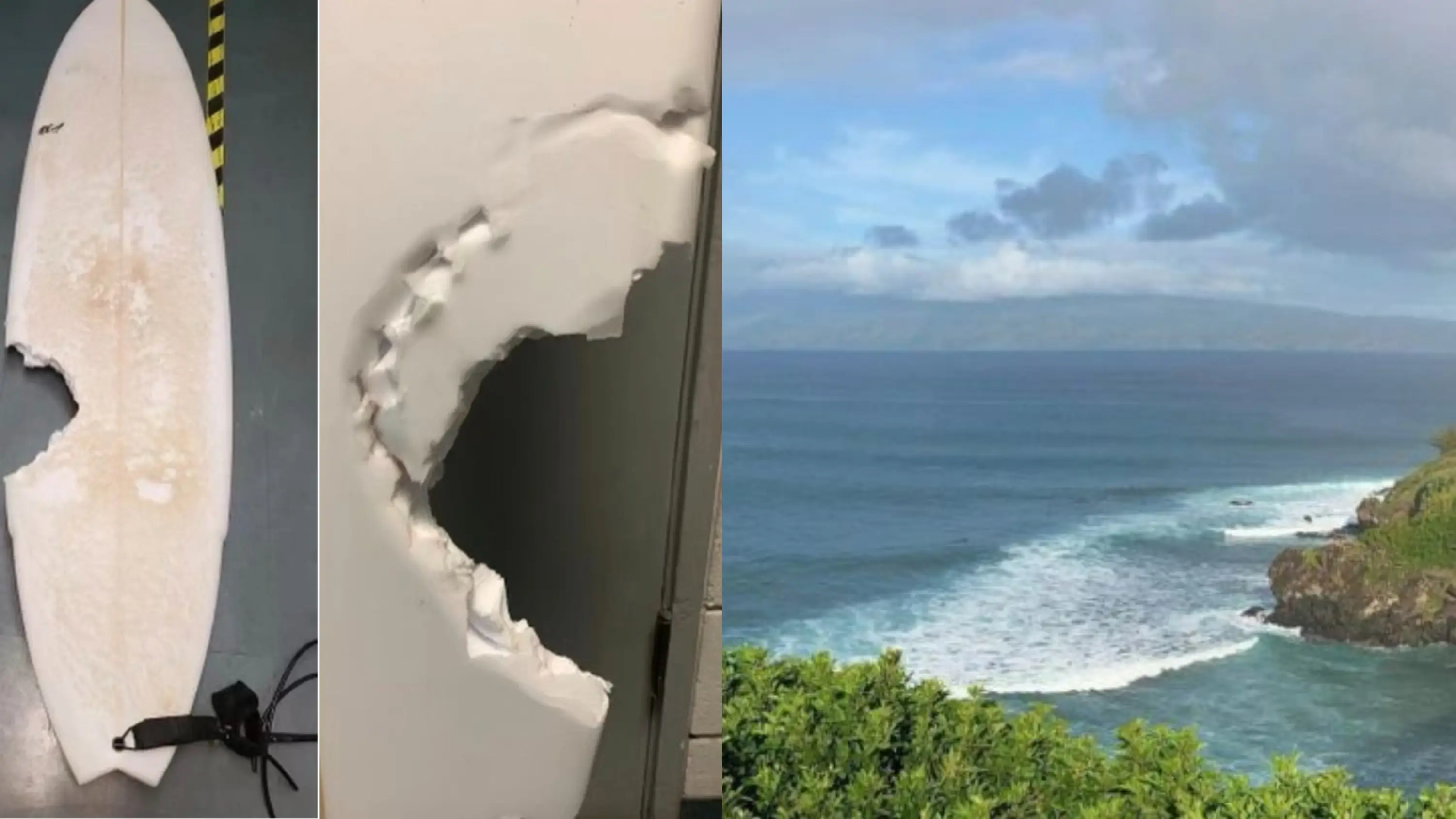Muere un surfista por el terrible ataque de un tiburón y suspenden la World Surf League de Hawái Muere un surfista por el terrible ataque de un tiburón y suspenden la World Surf League de Hawái