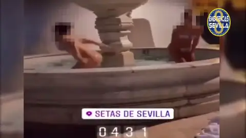Jóvenes bañándose en la fuente de la Encarnación en Sevilla Jóvenes bañándose en la fuente de la Encarnación en Sevilla
