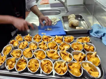 Lista completa de restaurantes de España con nueva estrella Michelin en la Guía 2021 Lista completa de restaurantes de España con nueva estrella Michelin en la Guía 2021