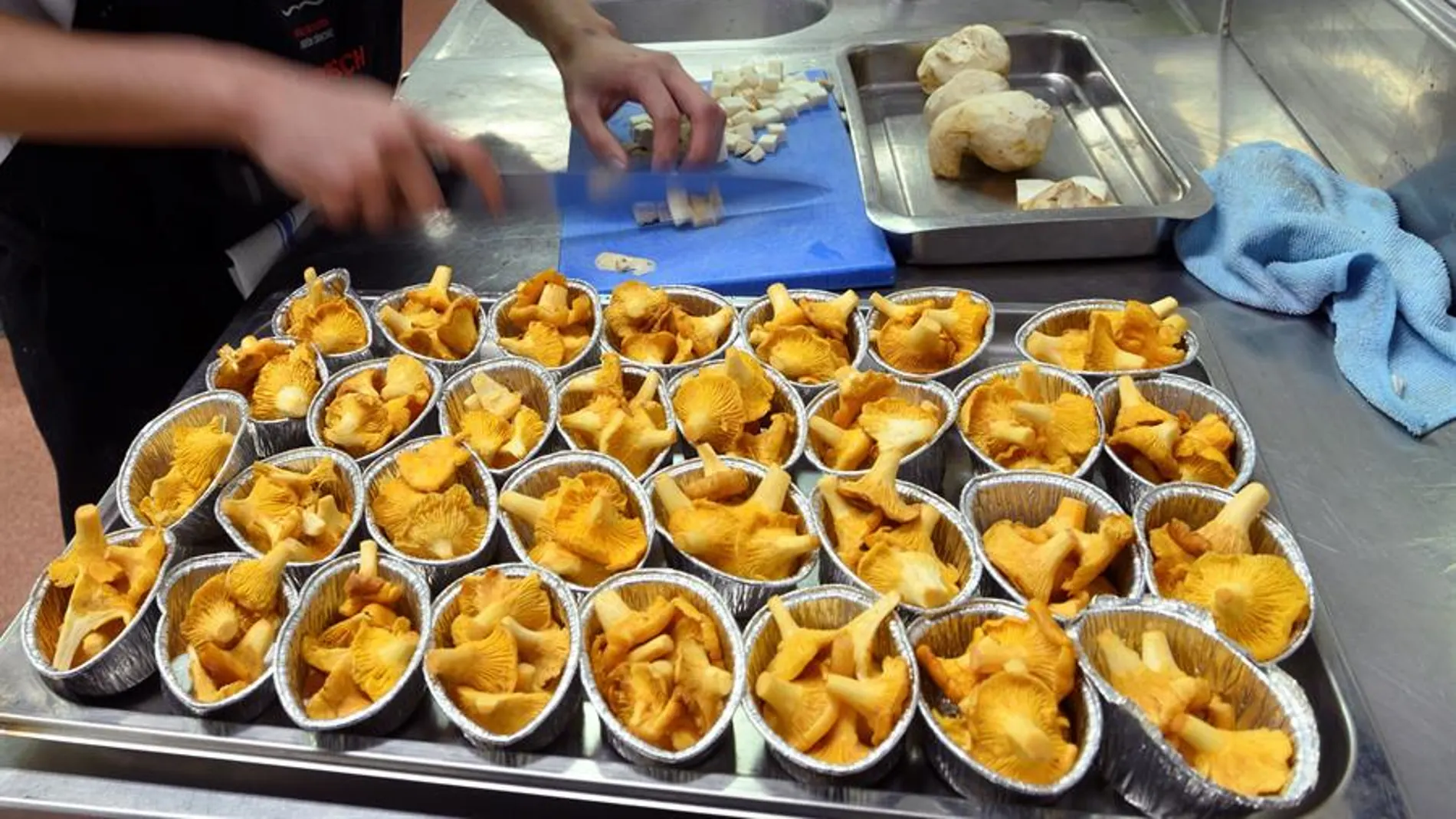 Lista completa de restaurantes de España con nueva estrella Michelin en la Guía 2021 Lista completa de restaurantes de España con nueva estrella Michelin en la Guía 2021