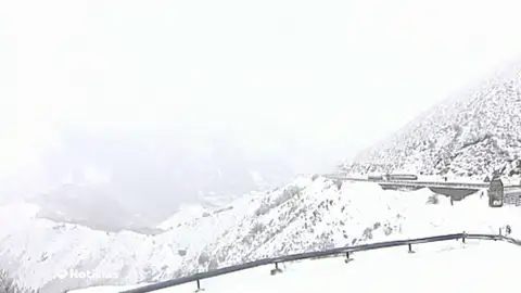 N temporal N temporal