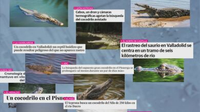 Estas son las 5 noticias más curiosas que han marcado el 2020: Del cocodrilo del Pisuerga a las almendras de Fernando Simón