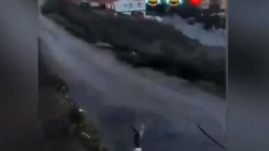 Una joven tira a un gato por un barranco al ritmo de 