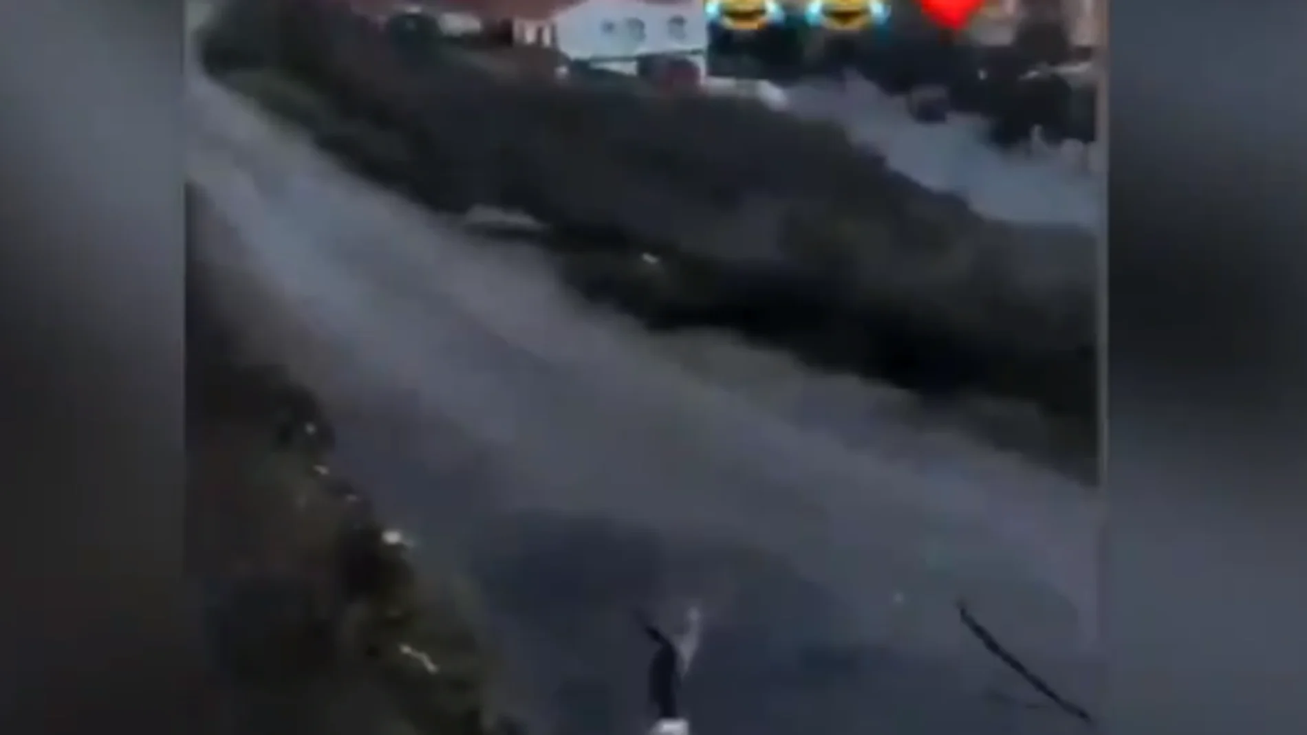 Una joven tira a un gato por un barranco al ritmo de "gato volador" y lo sube a Instagram Una joven tira a un gato por un barranco al ritmo de "gato volador" y lo sube a Instagram