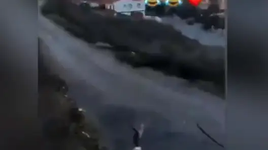 Una joven tira a un gato por un barranco al ritmo de "gato volador" y lo sube a Instagram