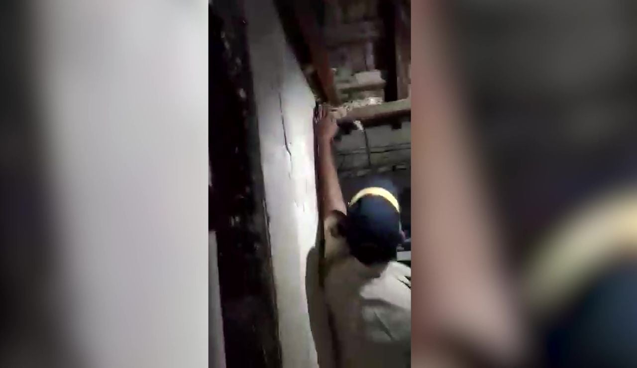 Un policía captura una pitón de casi tres metros con las manos en el techo de una casa