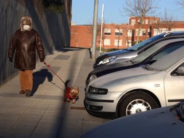 Una mujer pasea con su perro