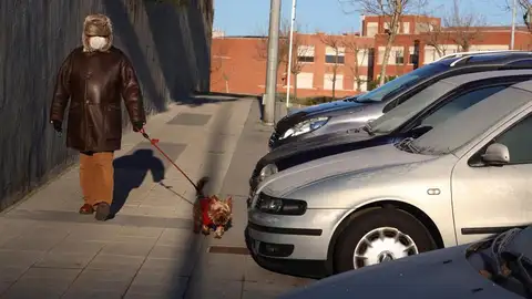 Una mujer pasea con su perro Una mujer pasea con su perro