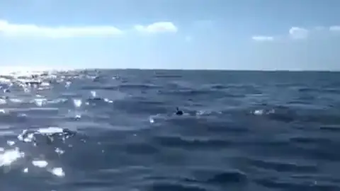Rubén López, el español que sobrevivió al Triángulo de las Bermudas tras nadar 20 kilómetros Rubén López, el español que sobrevivió al Triángulo de las Bermudas tras nadar 20 kilómetros