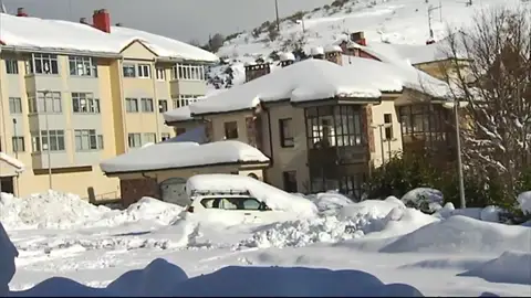 nieve nieve