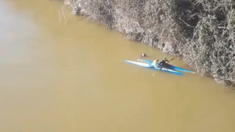 Dos pirag&uuml;istas rescatan a un hombre que se lanz&oacute; al r&iacute;o Pisuerga en Valladolid