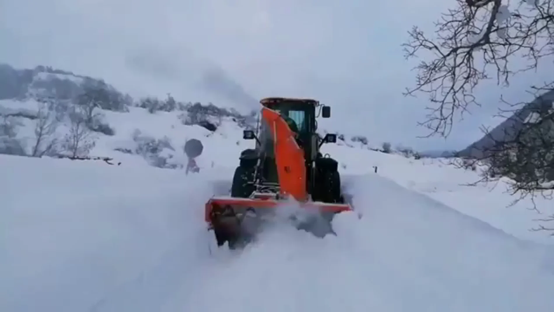 Ola de frío Ola de frío