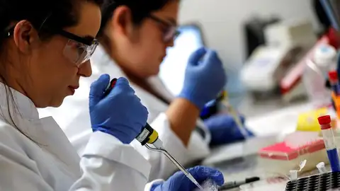 Identifican la mutación de la proteína que hace más contagiosa la cepa británica de coronavirus Identifican la mutación de la proteína que hace más contagiosa la cepa británica de coronavirus