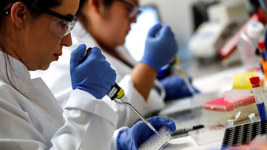 Identifican la mutación de la proteína que hace más contagiosa la cepa británica de coronavirus Identifican la mutación de la proteína que hace más contagiosa la cepa británica de coronavirus