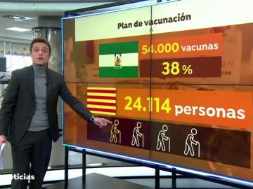 VACUNACION