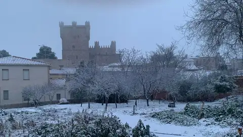 Toledo pide ayuda a la UME por la fuerte nevada que ha dejado la borrasca Filomena Toledo pide ayuda a la UME por la fuerte nevada que ha dejado la borrasca Filomena