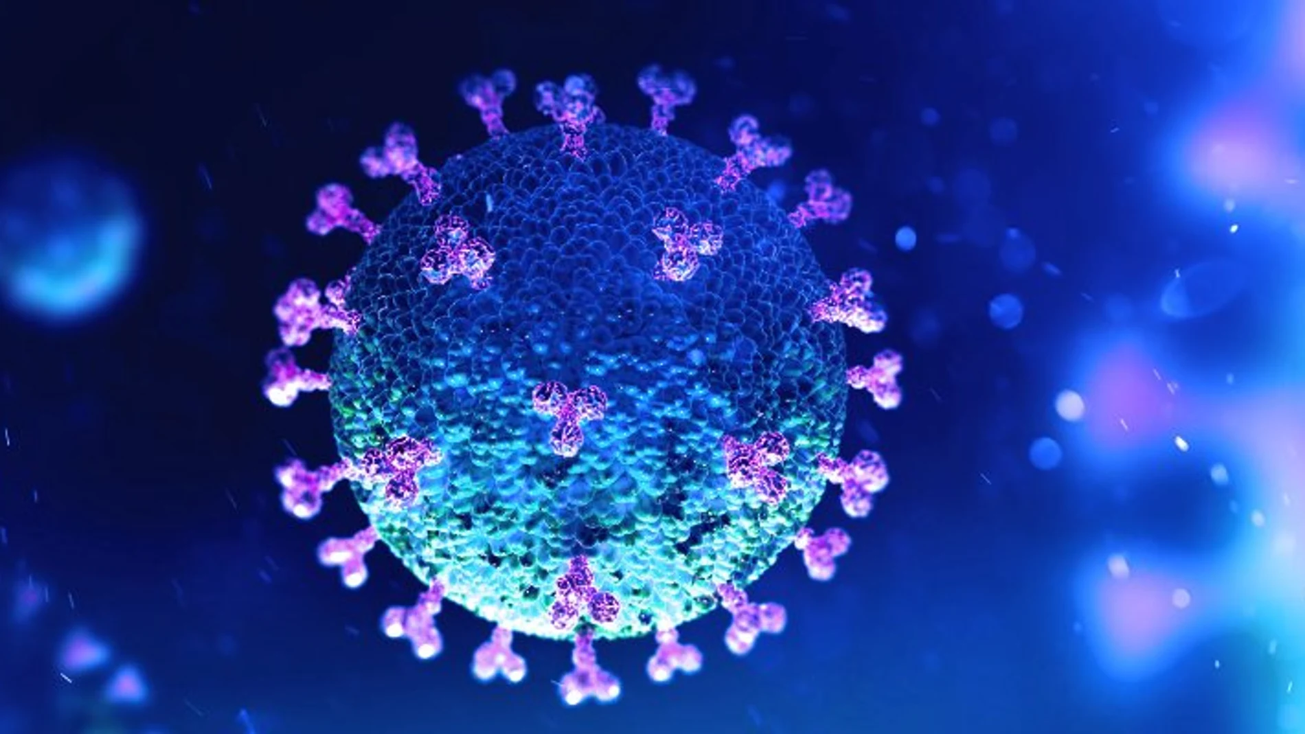Preocupación ante las nuevas variantes del coronavirus Preocupación ante las nuevas variantes del coronavirus