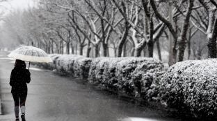 Fr&iacute;o y nieve (Archivo)