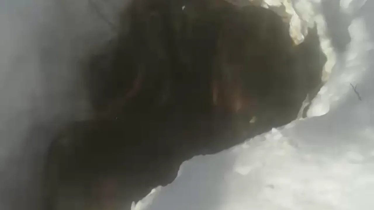 Así es el rescate de los caballos perdidos en mitad del temporal de nieve Así es el rescate de los caballos perdidos en mitad del temporal de nieve