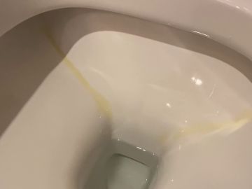 El truco para quitar las manchas amarillas del váter