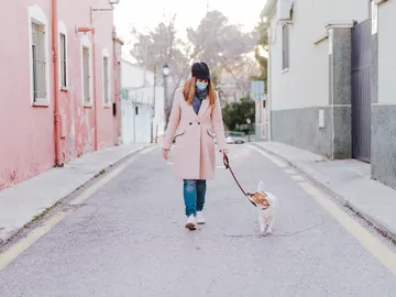 Paseando al perro Paseando al perro