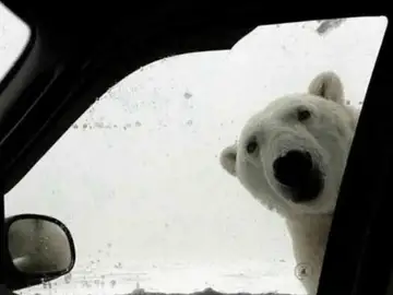 Los mejores memes del temporal de frío y nieve de Filomena en toda España Los mejores memes del temporal de frío y nieve de Filomena en toda España