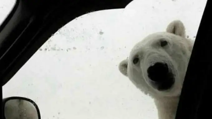Los mejores memes del temporal de frío y nieve de Filomena en toda España Los mejores memes del temporal de frío y nieve de Filomena en toda España