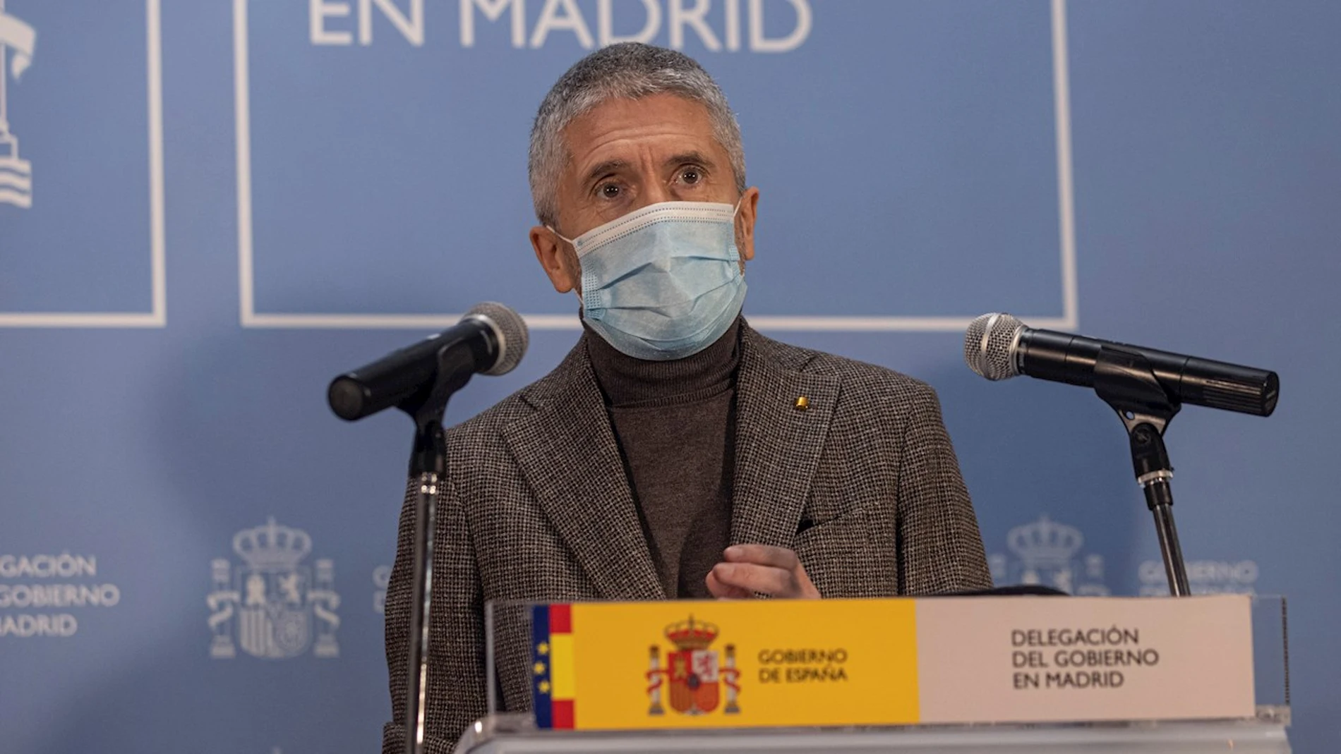 El ministro Marlaska en rueda de prensa El ministro Marlaska en rueda de prensa