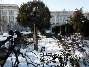 Polémica entre el Ayuntamiento de Madrid y el Gobierno ante la posibilidad de declarar la zona catastrófica por el temporal Filomena