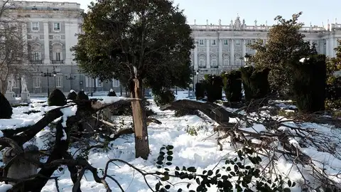 Polémica entre el Ayuntamiento de Madrid y el Gobierno ante la posibilidad de declarar la zona catastrófica por el temporal Filomena Polémica entre el Ayuntamiento de Madrid y el Gobierno ante la posibilidad de declarar la zona catastrófica por el temporal Filomena